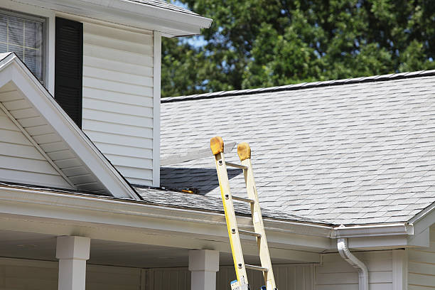 Best Historical Building Siding Restoration  in Belle Mead, NJ