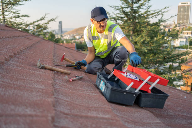 Best Steel Siding Installation  in Belle Mead, NJ